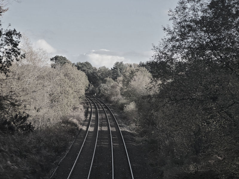 Forest and railway path