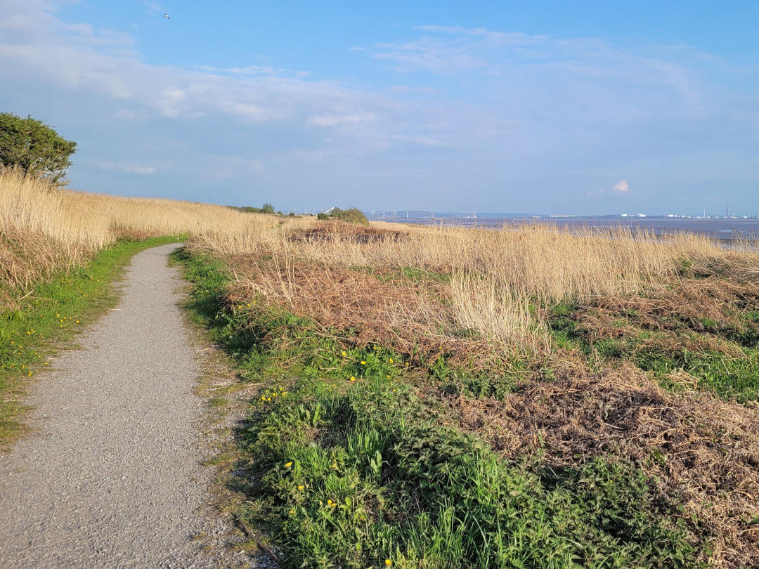 Therapy blog article 1: Understanding the Therapeutic Process